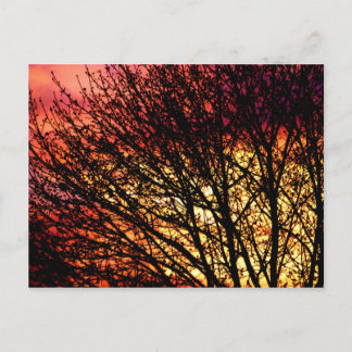 Postal Noche Light Blank Notecard