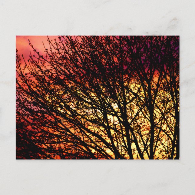 Postal Noche Light Blank Notecard (Anverso)