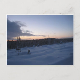 Postal Noche polar