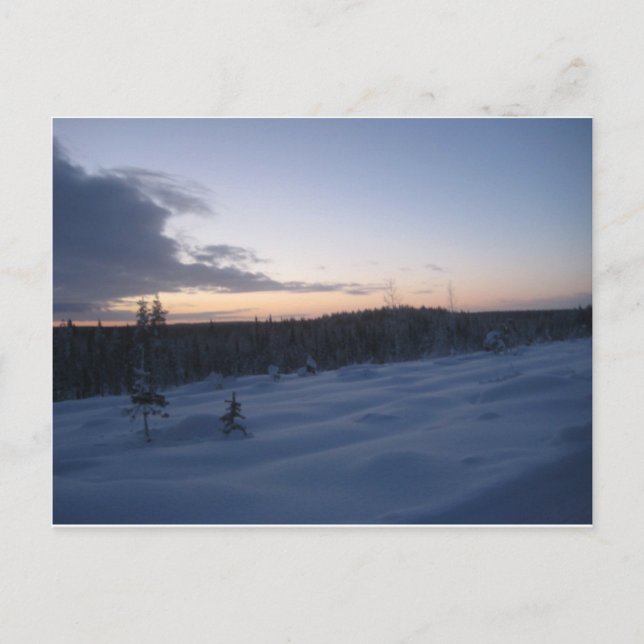 Postal Noche polar (Anverso)