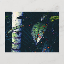 Postal Noche tropical