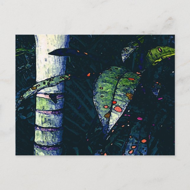 Postal Noche tropical (Anverso)