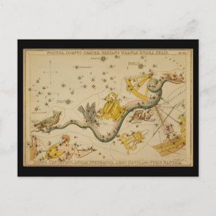 Postal Noctua, Corvus, Hydra, Felis, Lupus, Centaurus, y