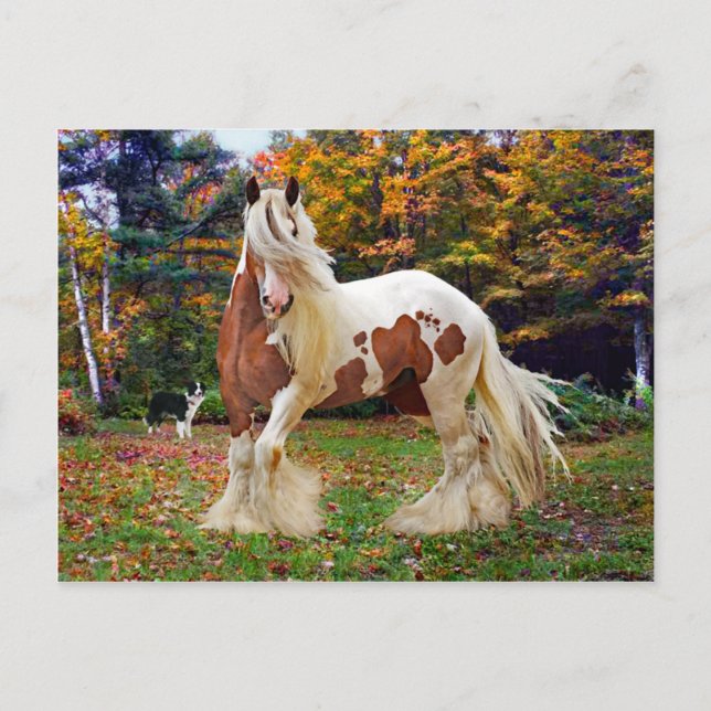 Postal "Nokomis" (Anverso)