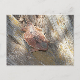 Postal nombre cambiado a "fresa"