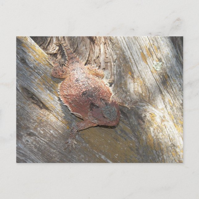 Postal nombre cambiado a "fresa" (Anverso)