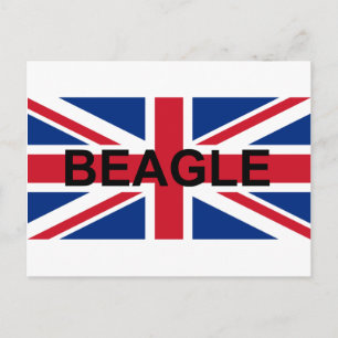 Postal nombre de beagle england bandera del Reino Unido
