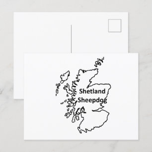 Postal Nombre Del Oveja De Shetland En Origen