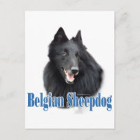 Nombre del perro pastor belga