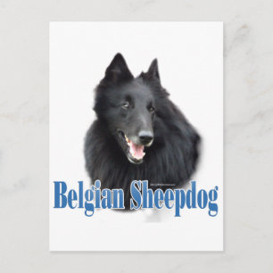 Postal Nombre del perro pastor belga
