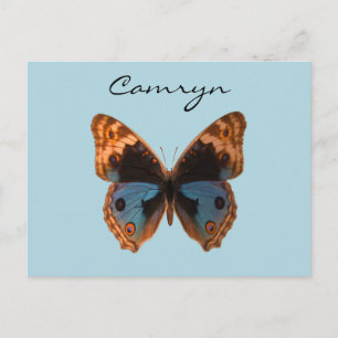 Postal Nombre personalizado del insecto de mariposa