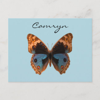 Postal Nombre personalizado del insecto de mariposa