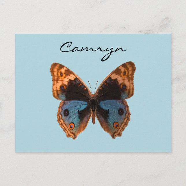 Postal Nombre personalizado del insecto de mariposa (Anverso)