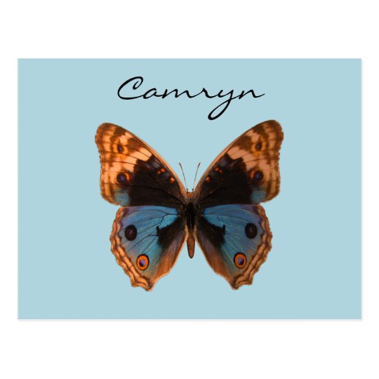 Postal Nombre personalizado insecto de la polilla de la