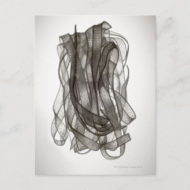 Postal Noodle chino (Anverso)