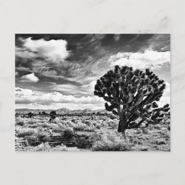 Postal Noon alta (Anverso)