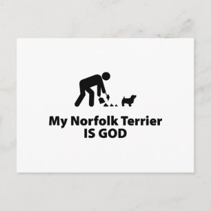 Postal Norfolk Terrier