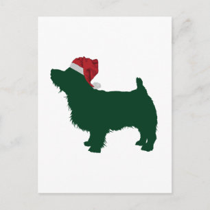 Postal Norfolk Terrier