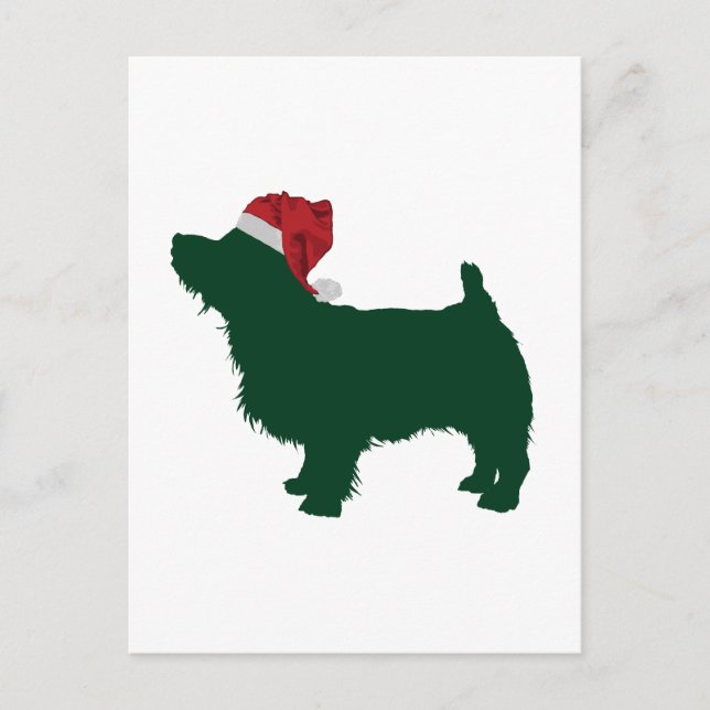 Postal Norfolk Terrier (Anverso)