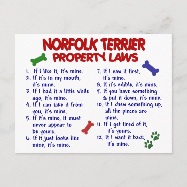 Postal NORFOLK TERRIER (Leyes de propiedad) 2 (Anverso)