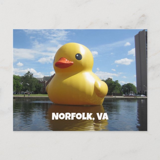 Postal Norfolk, Virginia (Pato) (Anverso)