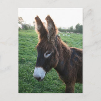 Postal Normandía 2009