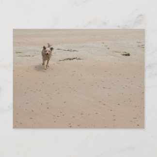 Postal Normandía 2009 (1)