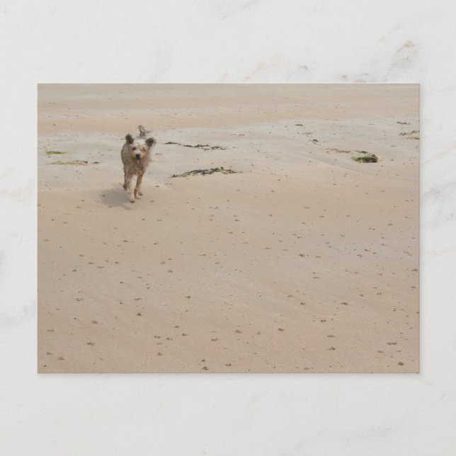 Postal Normandía 2009 (1) (Anverso)