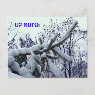 Postal norte superior