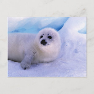 Postal Norteamérica, Canadá, Golfo de San Lorenzo
