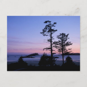 Postal Norteamérica, Canadá, Isla de Vancouver, árboles