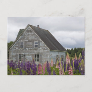 Postal Norteamérica, Canadá, Isla del Príncipe Eduardo,