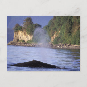 Postal Norteamérica, EE. UU., Alaska, Paso Interior.