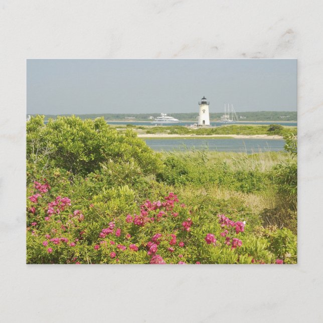 Postal Norteamérica, EE. UU., Massachusetts, Martha's (Anverso)