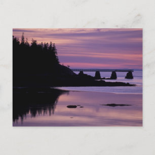 Postal Norteamérica, EE. UU., ME, Isle Au Haut. Pato