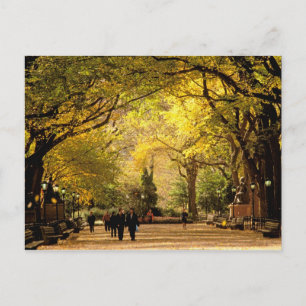 Postal Norteamérica, EE. UU., Nueva York, Ciudad de Nueva