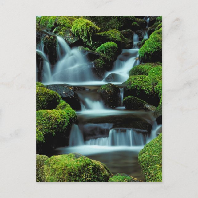 Postal Norteamérica; EE. UU.; Washington, cascada de Sol  (Anverso)