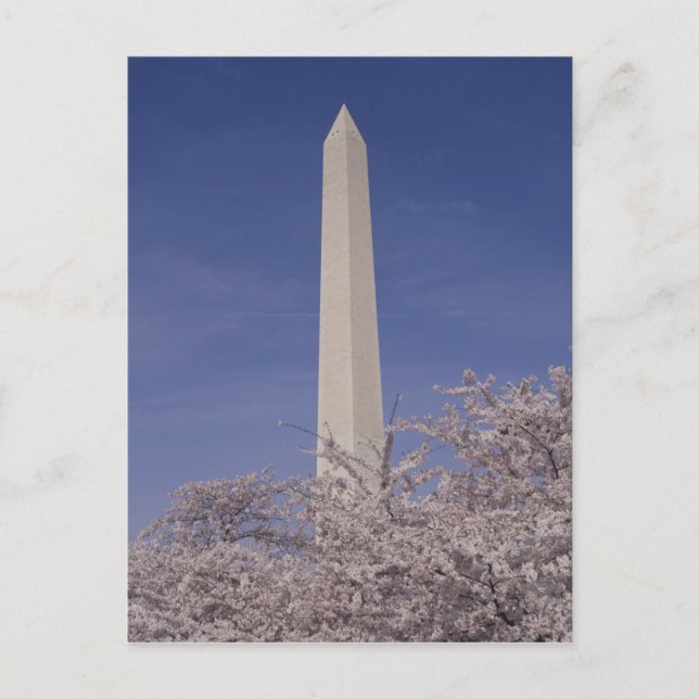 Postal Norteamérica, EE. UU., Washington D.C.. Washington (Anverso)