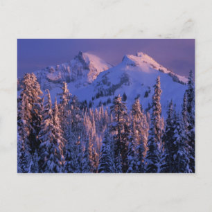 Postal Norteamérica, EE. UU., Washington, Mt. Rainier 4