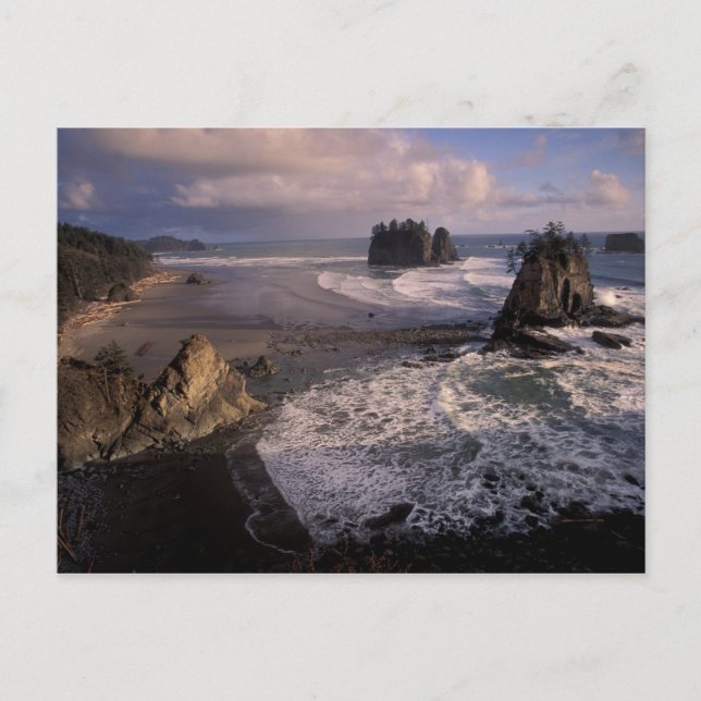 Postal Norteamérica, EE. UU., Washington, Parque Nacional (Anverso)
