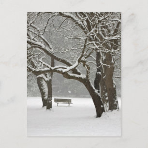 Postal Norteamérica, EE. UU., Washington, Seattle, Nieve 