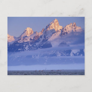 Postal Norteamérica, EE. UU., Wyoming, Parque Nacional Gr