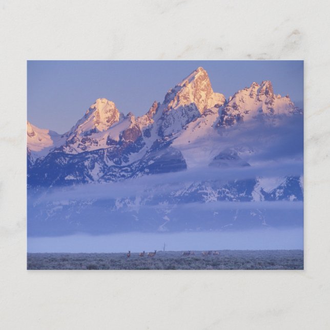 Postal Norteamérica, EE. UU., Wyoming, Parque Nacional Gr (Anverso)