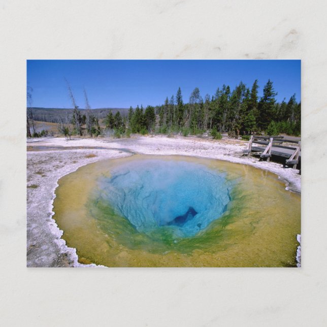 Postal Norteamérica, EE. UU., Wyoming, Yellowstone 2 (Anverso)