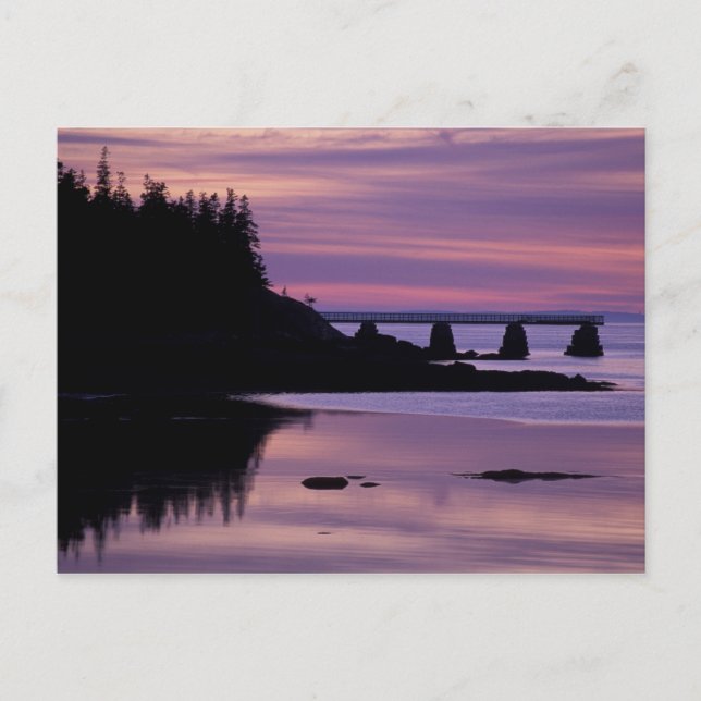 Postal Norteamérica, EEUU, ME, Isle Au Haut. Pato (Anverso)