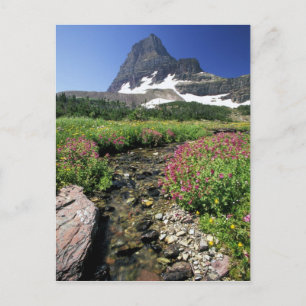 Postal Norteamérica, Estados Unidos, Montana, Glacier Nat