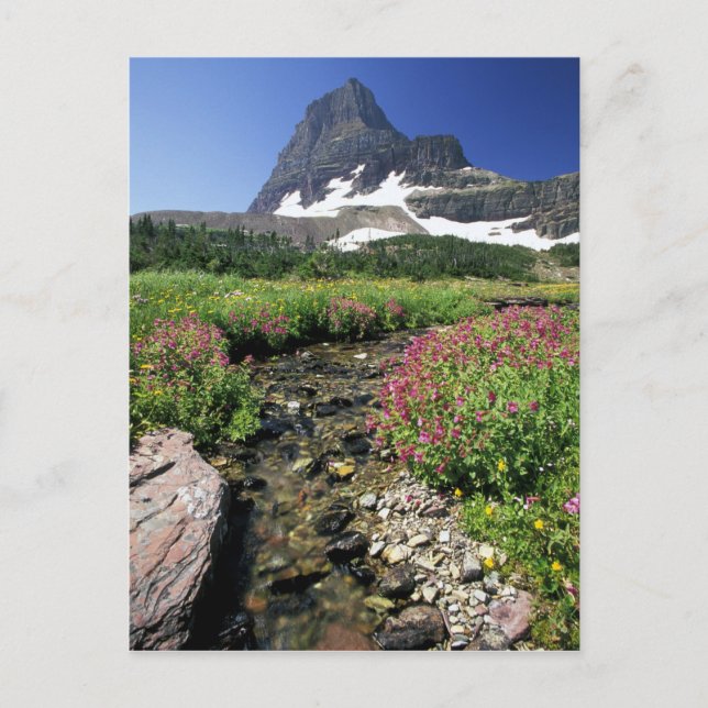 Postal Norteamérica, Estados Unidos, Montana, Glacier Nat (Anverso)