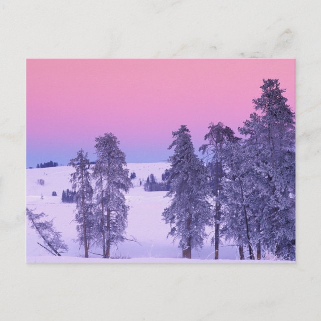 Postal Norteamérica, Estados Unidos, Montana, Yellowstone (Anverso)