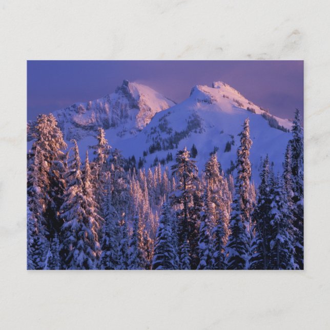 Postal Norteamérica, Estados Unidos, Washington, Monte Ra (Anverso)