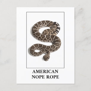 Postal Norteamérica: Peligro de serpiente de Rattlesnake